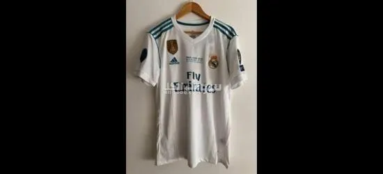 قط جميل للتبني