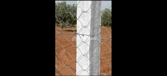 فريانة - 3