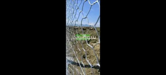 فريانة - 7