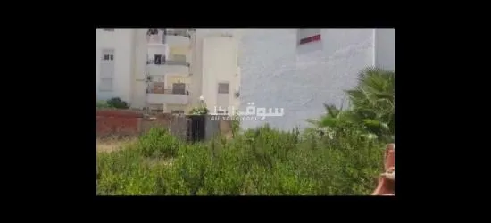 ارض للبيع في رواد الشط - 7