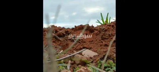 أرض بيضاء - 2