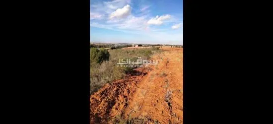 أرض بيضاء - 3