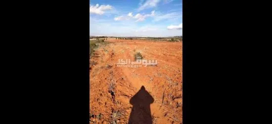 أرض بيضاء - 4