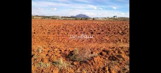 أرض بيضاء - 5