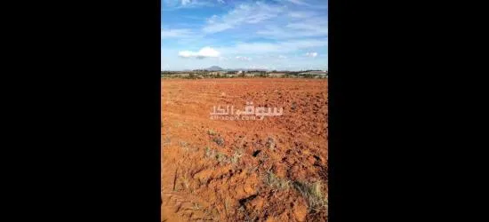 أرض بيضاء - 6