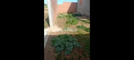 منوبة برج العامري مسعدين - 3