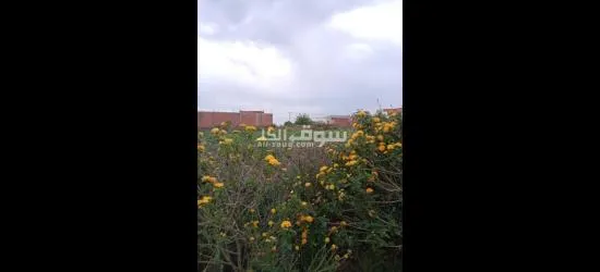 مقاسم للبيع في قليبية وسط المدينة