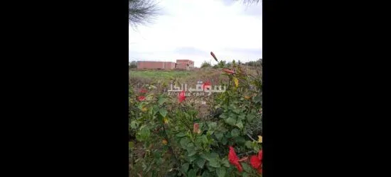 مقاسم للبيع في قليبية وسط المدينة - 5