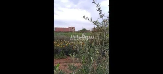 مقاسم للبيع في قليبية وسط المدينة - 6