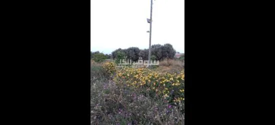 مقاسم للبيع في قليبية وسط المدينة - 7